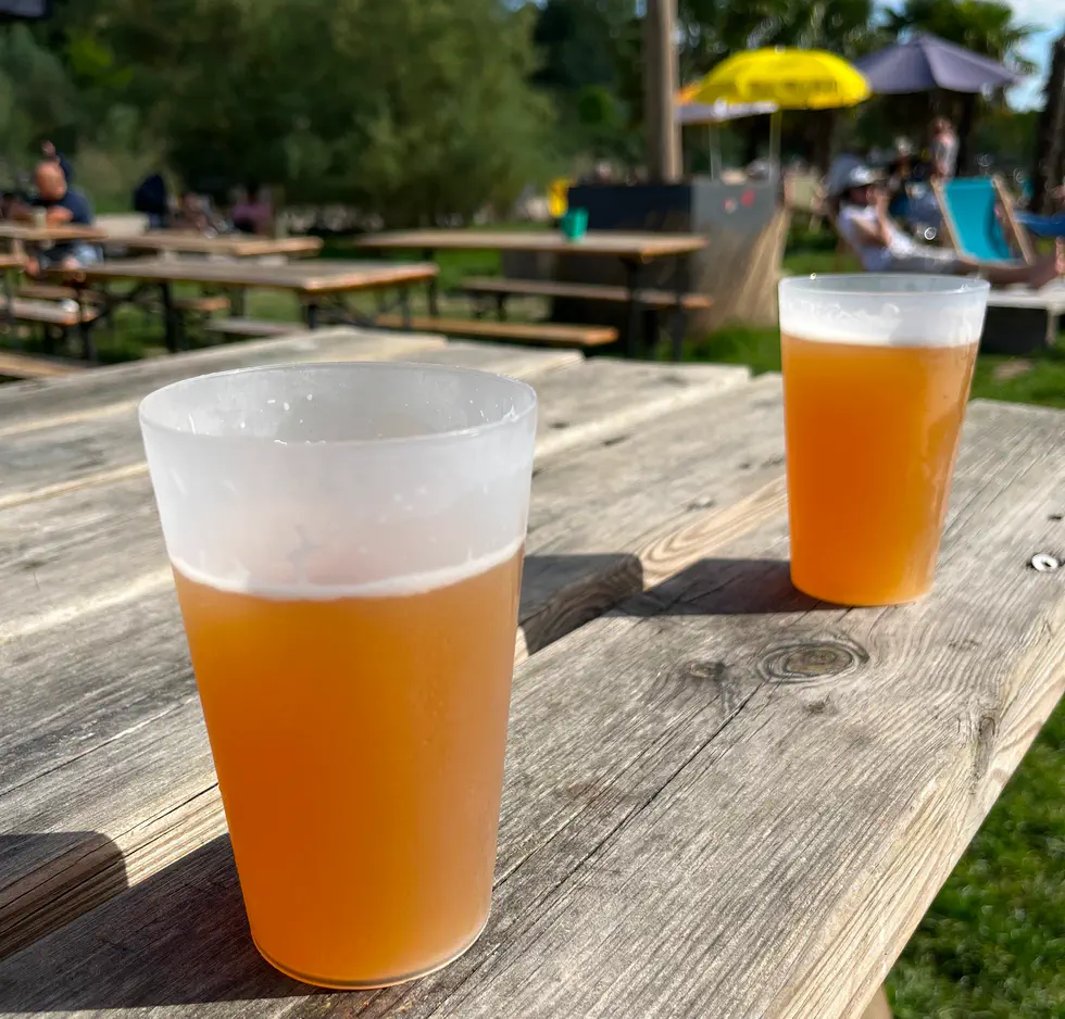 Plusieurs canettes de bières craft alignées