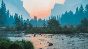 Illustration pour Actualité de la bière craft : ce qui secoue le début 2026